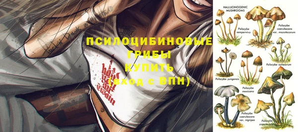 jwh Алзамай
