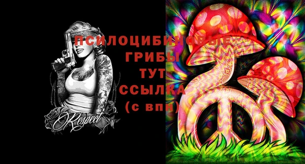 твердый Алексеевка