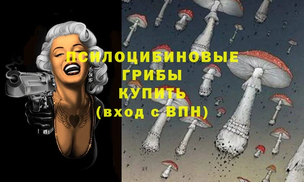 твердый Алексеевка