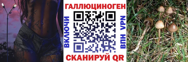 Псилоцибиновые грибы ЛСД  где купить наркотик  Кудрово 